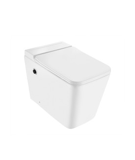 Tankless Single Piece Toilet