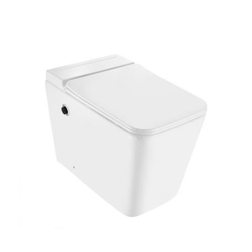 Tankless Single Piece Toilet