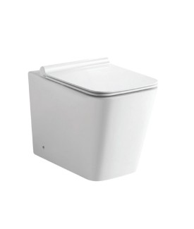 Rimless Back To Wall Toilet