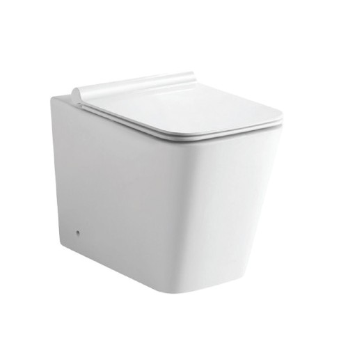 Rimless Back To Wall Toilet