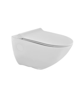 Rimless Wall Hung Toilet