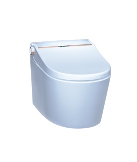 Wall Hung Toilet - White