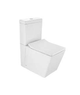 Rimless Bowl With Cistern For Coupled Toilet