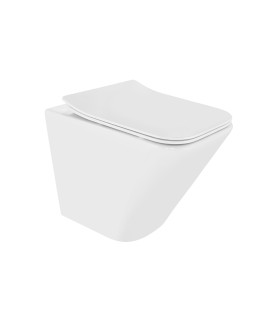 Rimless Back To Wall Toilet