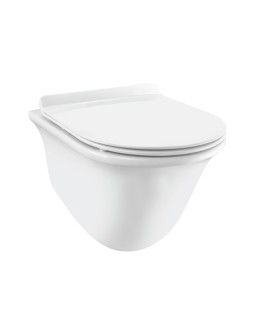 Rimless, Blind Installation Wall Hung Toilet