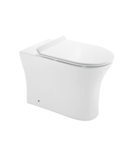 Rimless Back To Wall Toilet