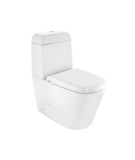 Rimless Bowl With Cistern For Coupled Toilet