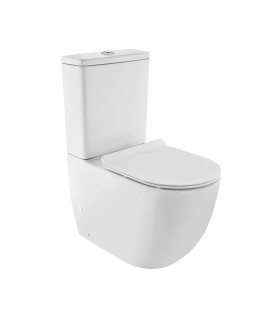 Rimless Bowl With Cistern For Coupled WC