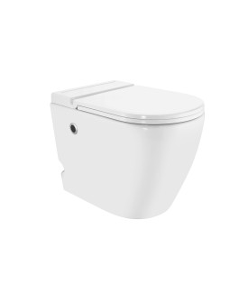 Tankless Single Piece Toilet