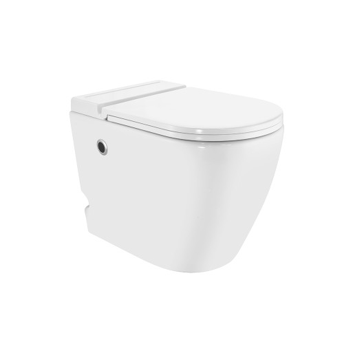 Tankless Single Piece Toilet