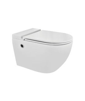 Tankless Wall Hung Toilet