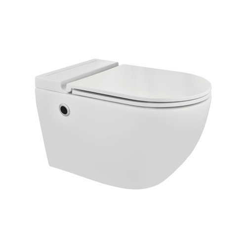 Tankless Wall Hung Toilet