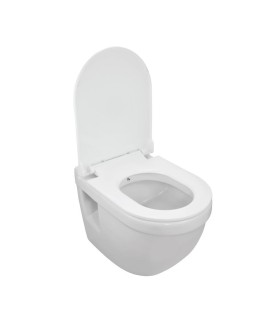 Wall Hung Toilet