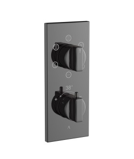 Thermatik-R In-wall Thermostatic Shower Valve with 5-Way Diverter - Black Chrome