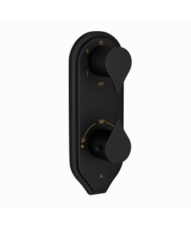 Thermostatic Shower Valve with 5-Way Diverter - Black Matt