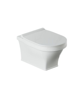 Rimless Wall Hung Toilet